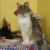 Отзыв от Инна Гордеева